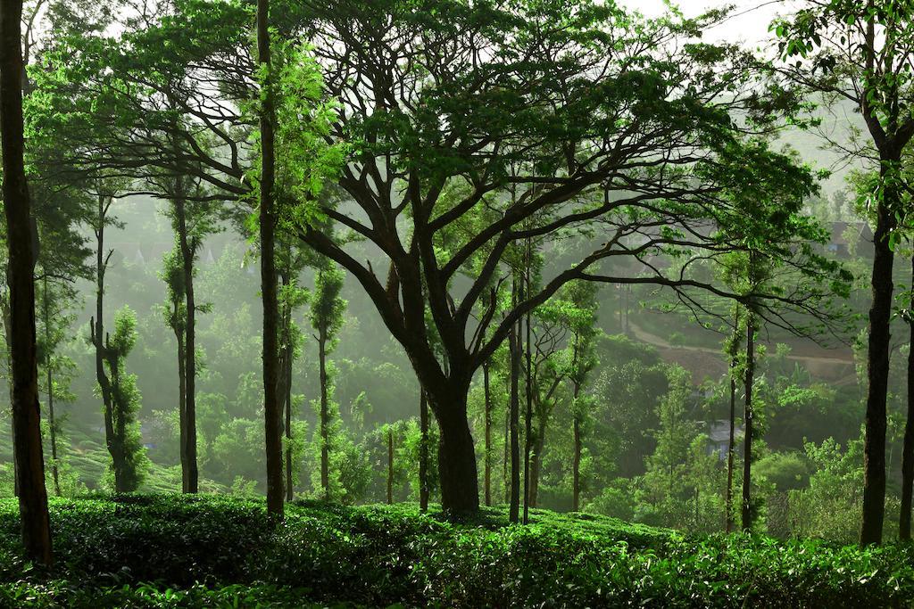 Hotel Parisons Plantation Experiences By Abad Mananthavady Zimmer foto